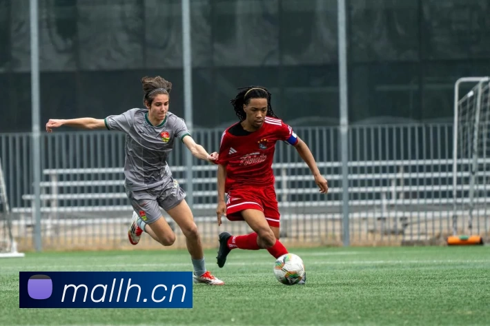 乐鱼官方端网站登录入口 - 乐鱼leyu(中国)发展历程